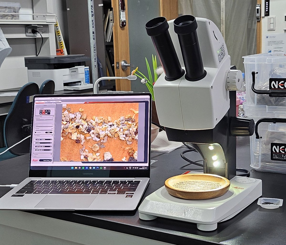 DrJenniferBates's tweet photo. My precious!
Personal new microscope has arrived just in time for my sabbatical!
Looking forward to eventually being able to take this into the field to show the material we are #excavating in real time and #teach #archaeobotany on field school.
#archaeologicalscience https://t.co/OvCHsAJlrc