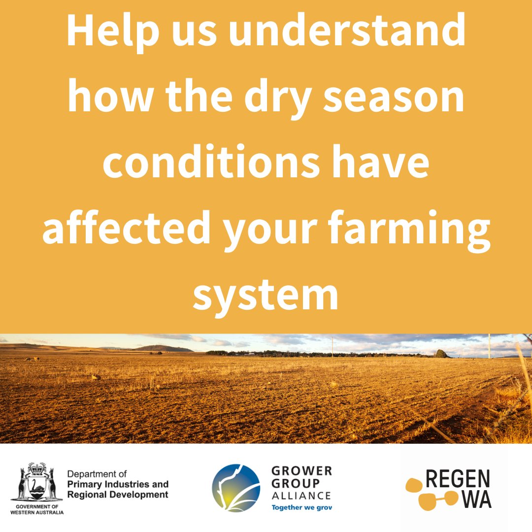 RegenWA (@regenwa) on Twitter photo We want to understand how the dry season conditions have impacted you and your farming system.
You will be helping to inform the dry season taskforce about how the dry conditions across WA have affected your farming system.
regenwa.com/news/dry-seaso…
<a href="/GGA_WA/">Grower Group Alliance</a> <a href="/DPIRDbroadacre/">DPIRD Broadacre - WA Grains & Livestock</a> We want to understand how the dry season conditions have impacted you and your farming system.
You will be helping to inform the dry season taskforce about how the dry conditions across WA have affected your farming system.
regenwa.com/news/dry-seaso…
<a href="/GGA_WA/">Grower Group Alliance</a> <a href="/DPIRDbroadacre/">DPIRD Broadacre - WA Grains & Livestock</a>