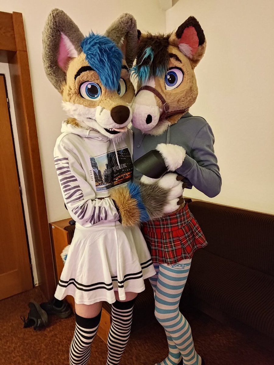 <a href="/Whity_Inu/">Whity 🔜NFC</a> is the best buddy ^-^