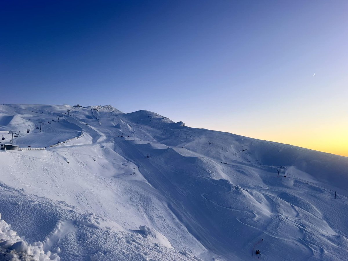 skimojo tweet media