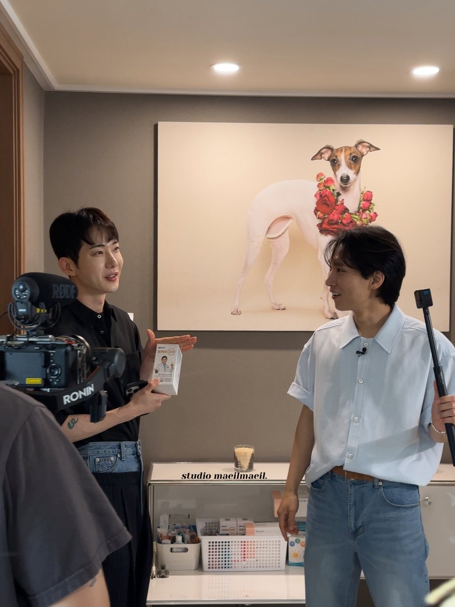 스튜디오 매일매일 tweet media