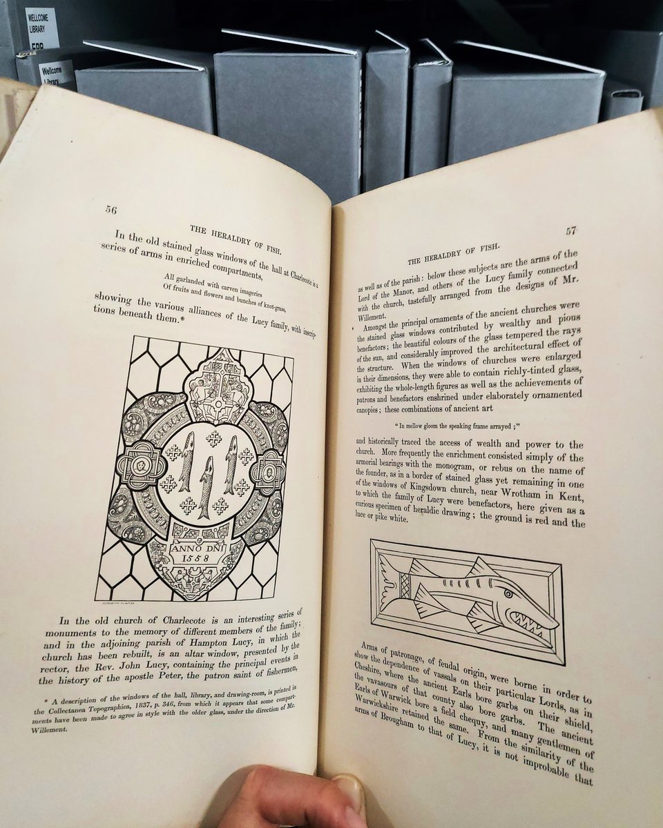 Most obscure quiz show specialist subject? 🐟🐬🐳🐋🦈

Want to write a book but feeling unsure it will draw the crowds? 

Well feel validated by Thomas Moule who wrote one about all the coat of arms with fish on.