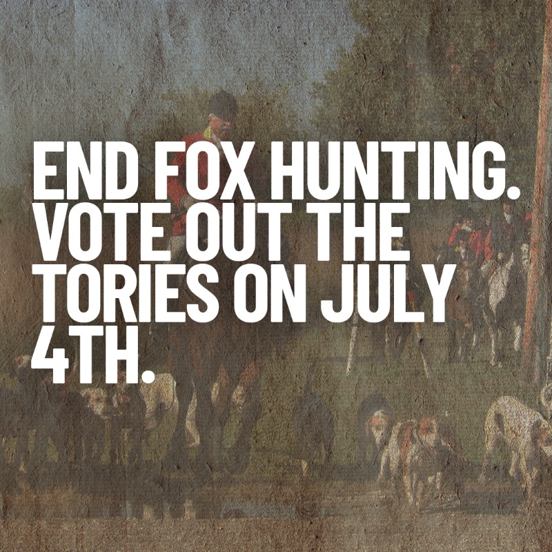 Will you be voting out the Tories tomorrow?