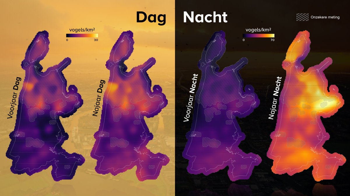 🐦Met unieke vogeltrekkaarten werpen onderzoekers <a href="/IBED_UvA/">IBED</a> licht op de ‘onzichtbare’ maar massale vogeltrek 's nachts, en op het risico op aanvaring met #windturbines: go.uva.nl/3xM598P
