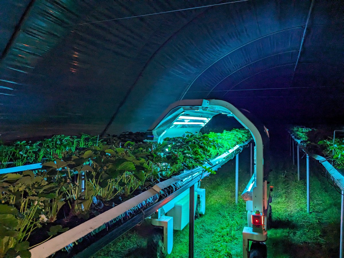 Saga Robotics is expanding! 📷 This season, we're operating on an area 4 x larger than last season, thanks to our nationwide expansion in collaboration with nine of the most innovative and leading strawberry growers across Great Britain. 📷 Now treating nearly one in ten