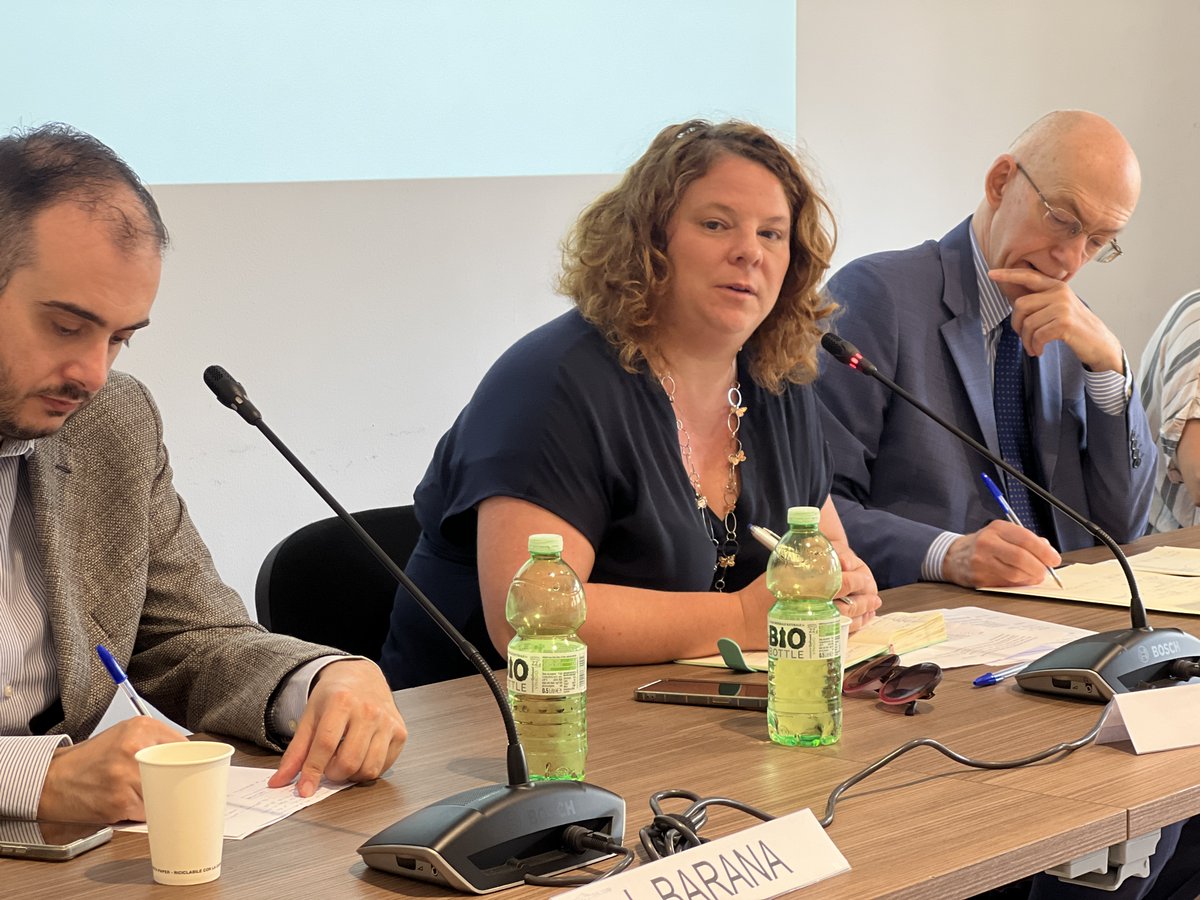 <a href="/Poli_Eleonora/">Eleonora Poli</a>: surveys show most Italians don't trust democracy, explaining low turnout. Pro-European parties should especially address this.

During the campaign, two issues relevant for Italy's role in the EU were mentioned, mostly by PD and Fratelli d’Italia: health and AI.