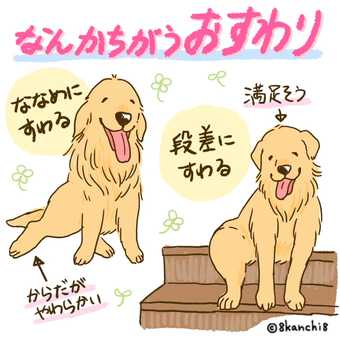 ゴルのなんかちがうおすわり、再掲⭐️🪑
結構おなじような座り方してるコ多い気がする。
#ゴールデンレトリバー
#犬のイラスト
#大型犬 