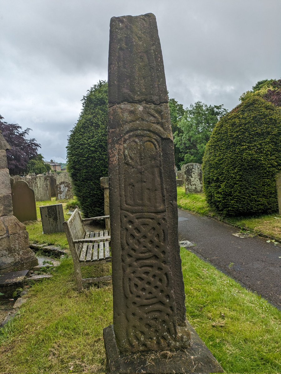 Dr Amanda Doviak tweet media