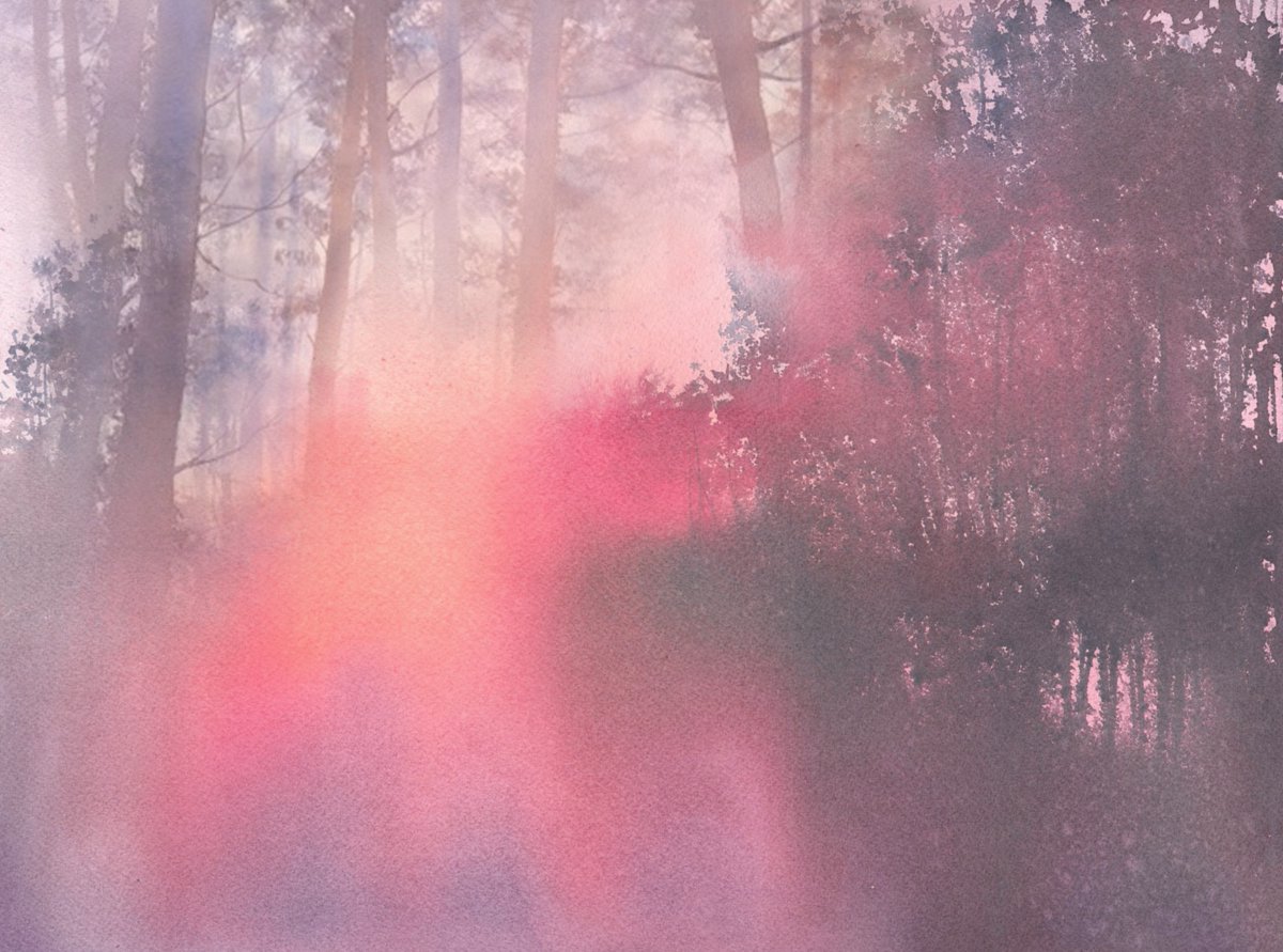 KendrickSnodin's tweet photo. 'Pink mist and trees' #trees #watercolour #barkby #pastels #acrylic #gouache #leicestershire #landscape #art #painting https://t.co/77q540th8W