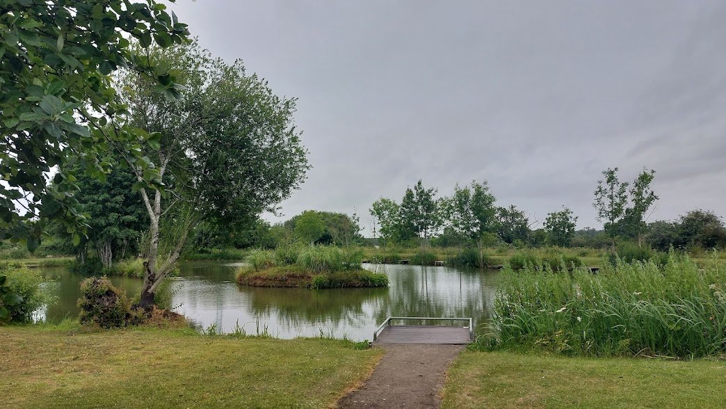 A #OnePlaceWednesday walk through a bit of #OldnallEnd I don't often get to see. Once the prosaically named 'Meadow above Railway,' today this is the much more dramatic 'Dragon Lake' - part of Lavender Hall Fishery. And I managed to cut out all the HS2 cranes! #winning