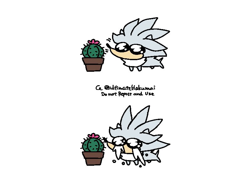 ultimateHakumai's tweet image. 🌵