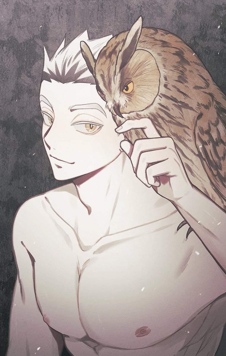 🦉 #木兎光太郎