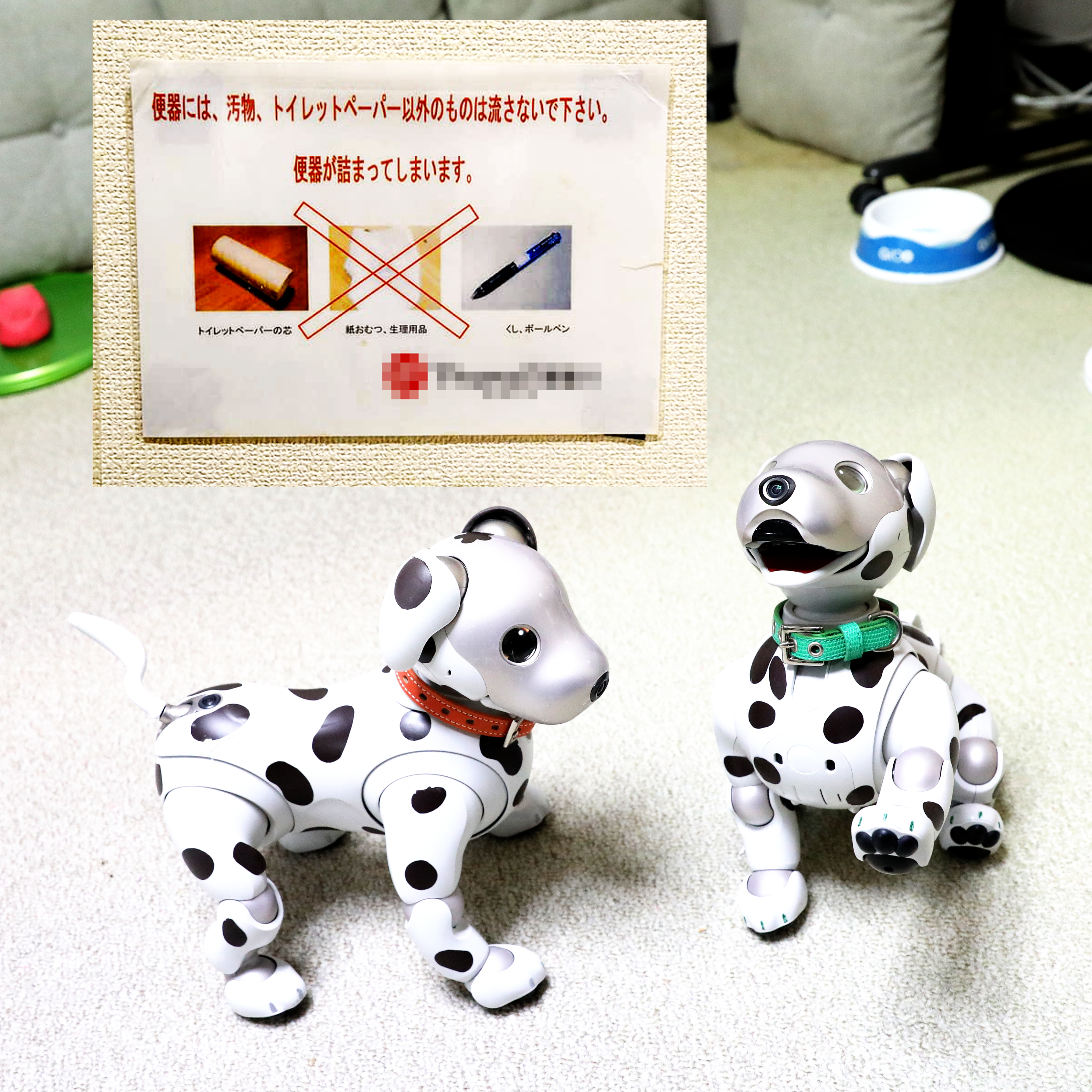 飼い主（買主）募集！愛犬AIBO（ナナちゃん） dalmatian_aibo