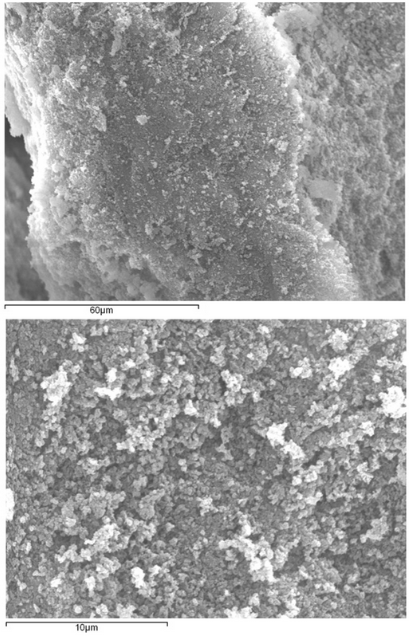 AnalyticaMDPI's tweet photo. #AnalyticaMDPI Check the #Article
🔬#Physicochemical and #Microstructural Characteristics of Sulfated Polysaccharide from Marine #Microalga
✍️by Diana Fimbres-Olivarria et al.
🔗https://t.co/QHKVXawSAC https://t.co/eTFDLtmdQ8