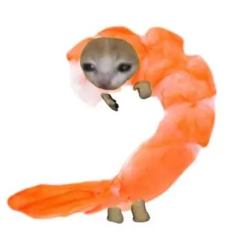 peacenode.eth✰ tweet media