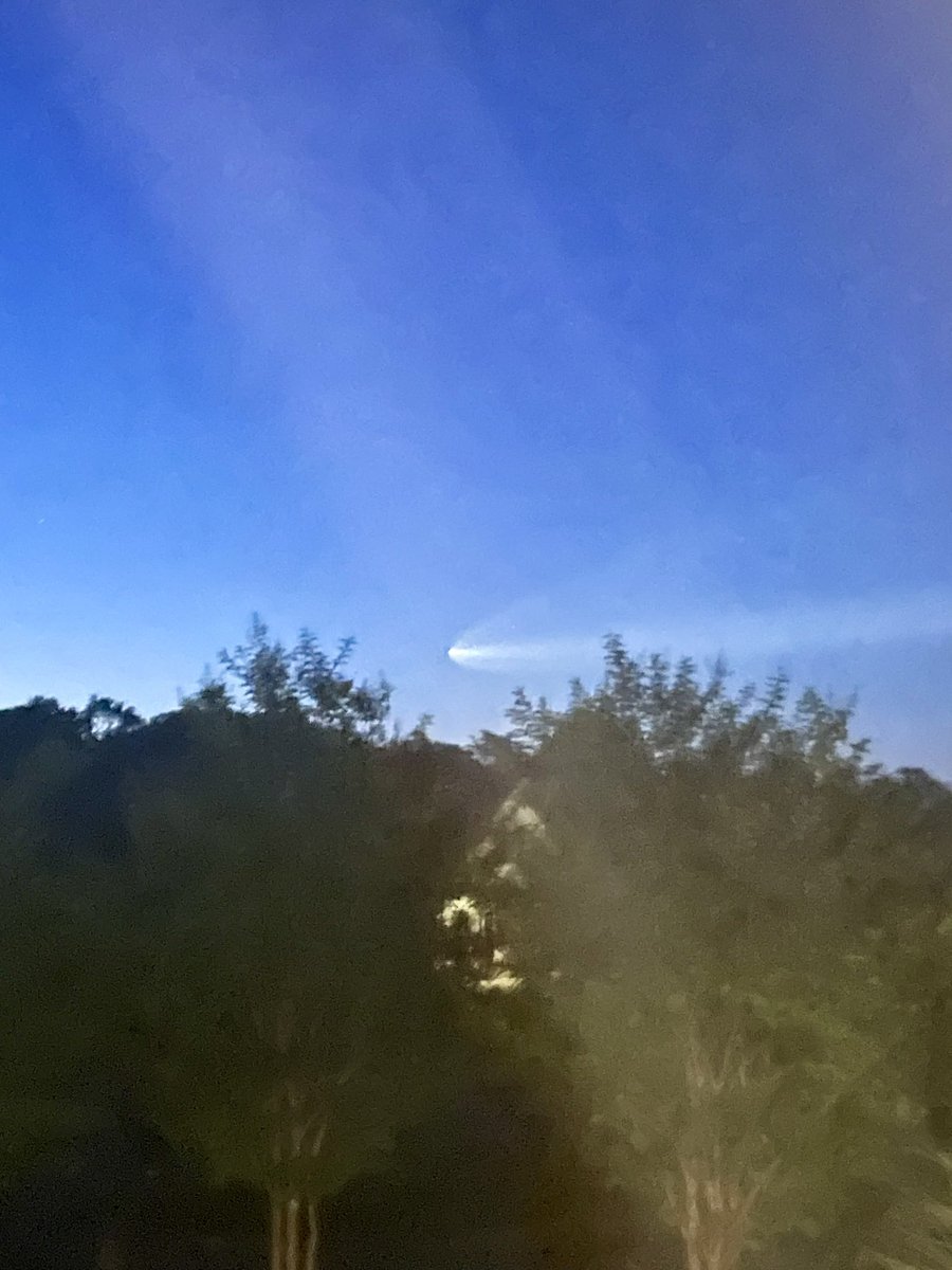 Brandon Perry tweet media