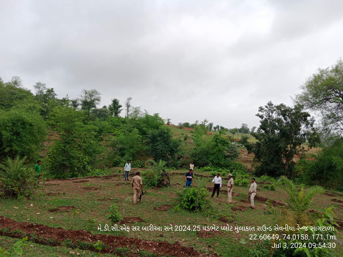 DCFBaria tweet media