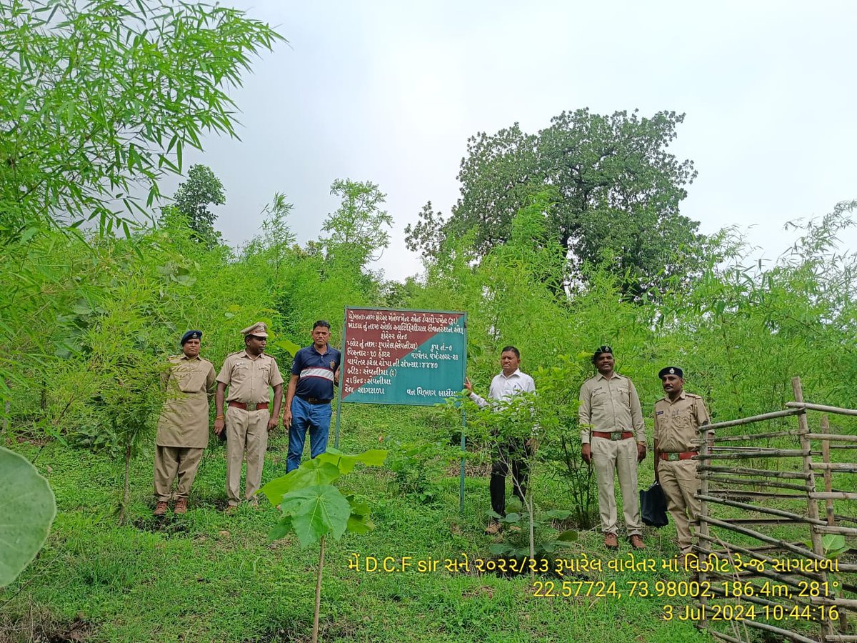 DCFBaria tweet media