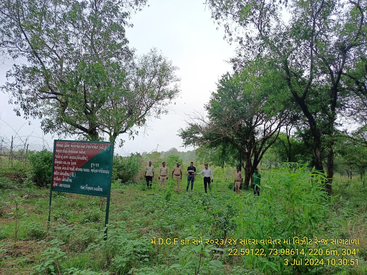 DCFBaria tweet media