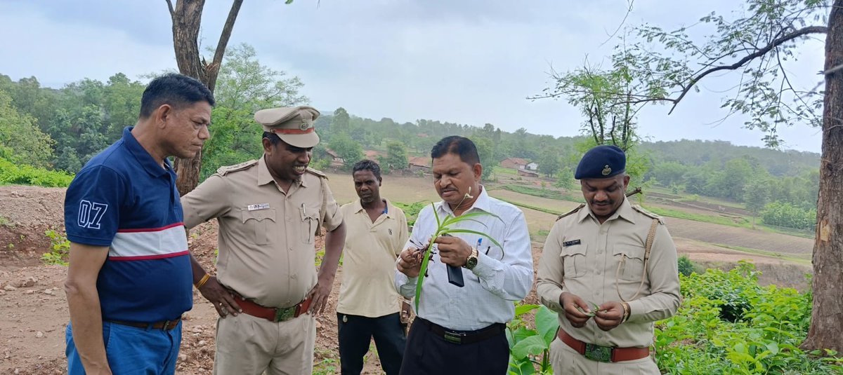 DCFBaria tweet media