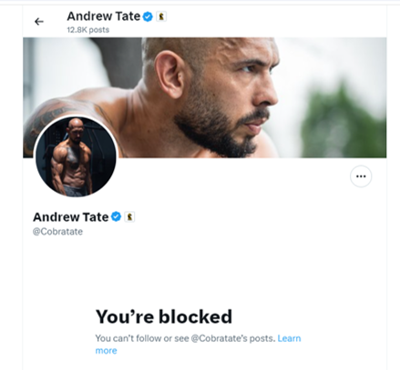 David Icke tweet media