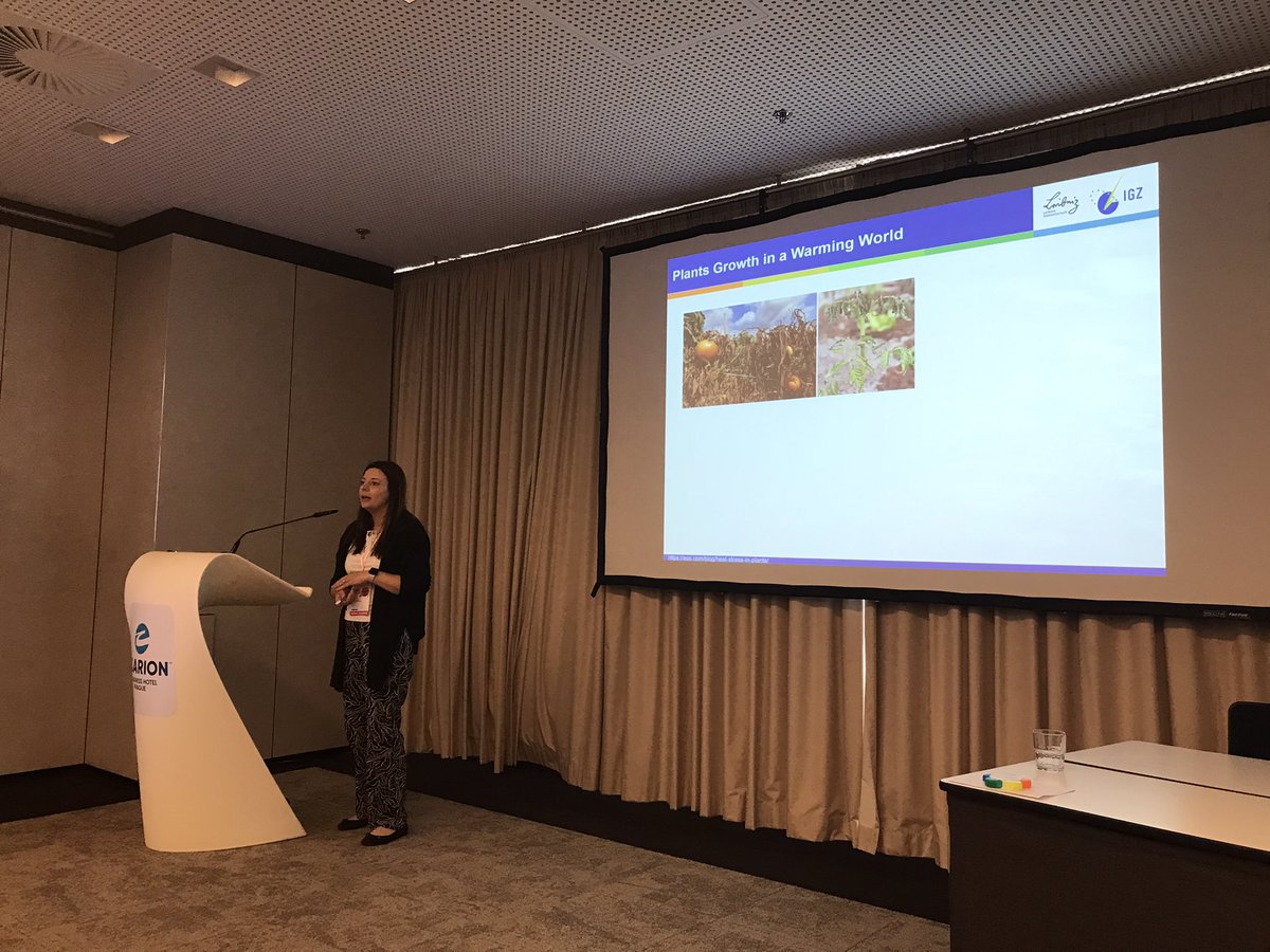 Excellent to hear Justyna Olas presenting exciting work on heat acclimation at #SEB conference. Groundbreaking insights into the response of stem cells to heat stress and memory genes 🌱🌡#SEBConference #PlantScience #TemperatureSensing