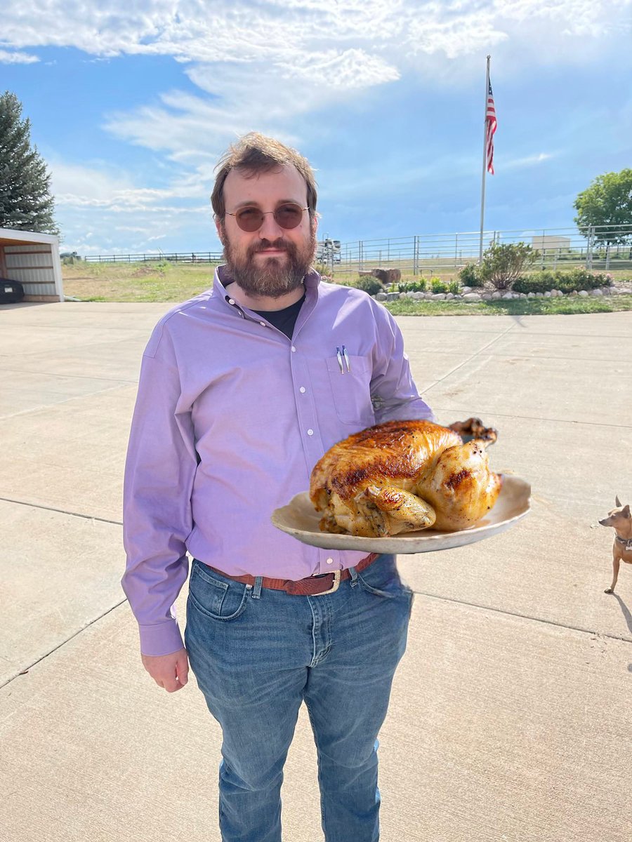 pablo_hoskinson's tweet photo. Charles Hoskinson's rooster $Pablo was mooning but, all the way to @IOHK_Charles 's stomach! 🍗🚀 https://t.co/36G6Sg7wc5