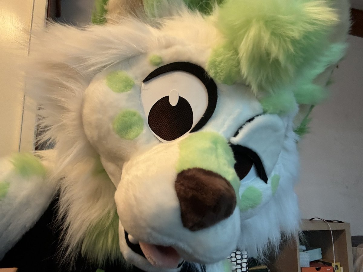 Chakeaw | ชาเขียว 🍵 🔜 ThaiTails tweet media