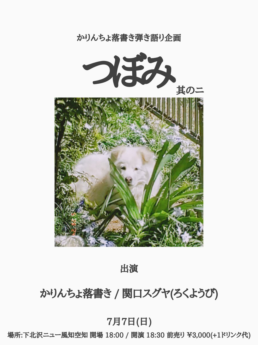 doremagesu's tweet photo. ＼来場者特典／

自主企画開催まであと4日！

今回もご来場いただいたお客様に、未発表音源が聴けるポストカードを差し上げます！

7月7日(日)
＠下北沢ニュー風知空知

”つぼみ　其の二”

w/関口スグヤ(ろくようび)

▼ご予約
https://t.co/bWSbyCB1Zc

お待ちしてます！ https://t.co/EhNBInq71A