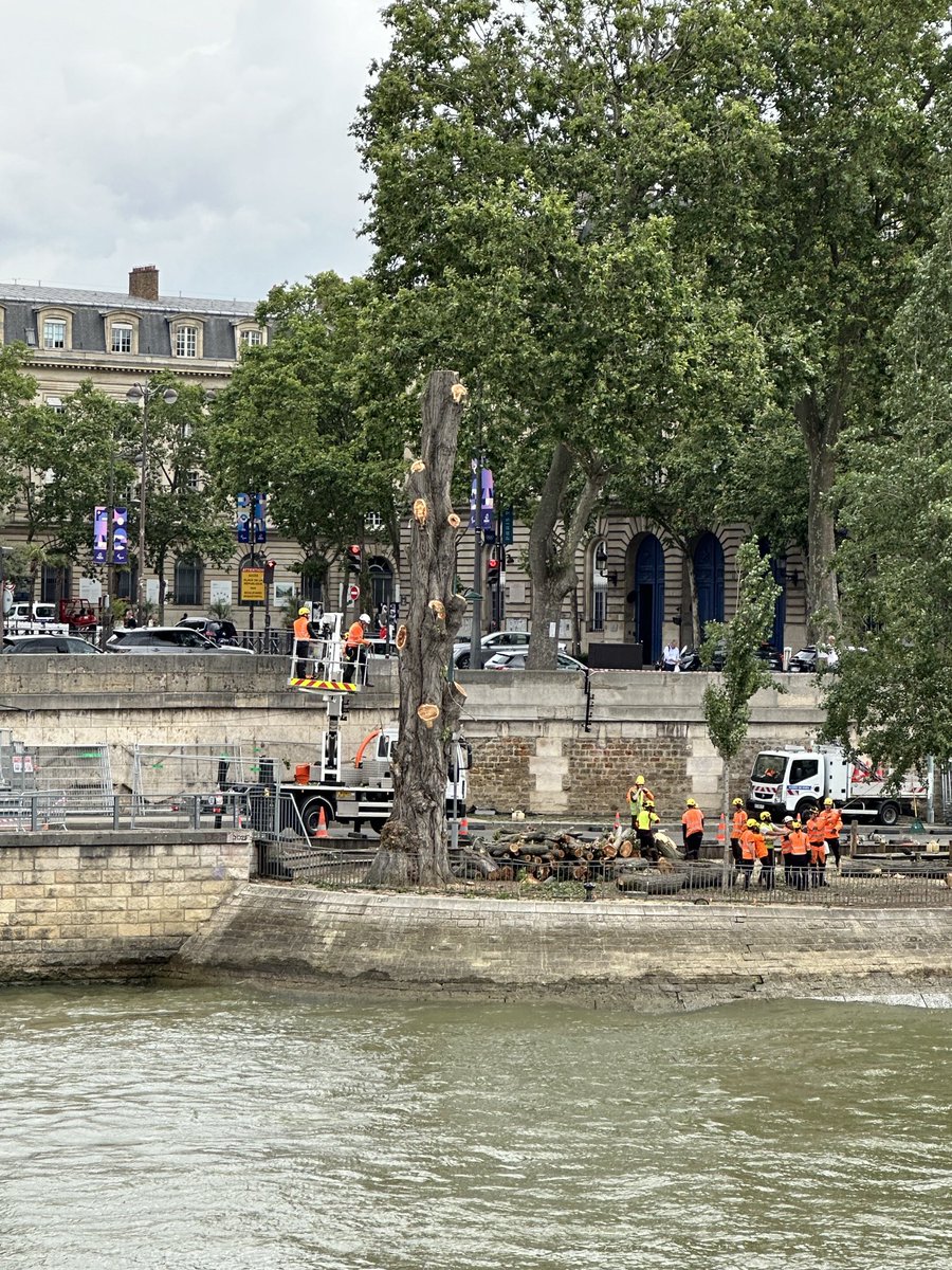 serge1paris tweet media