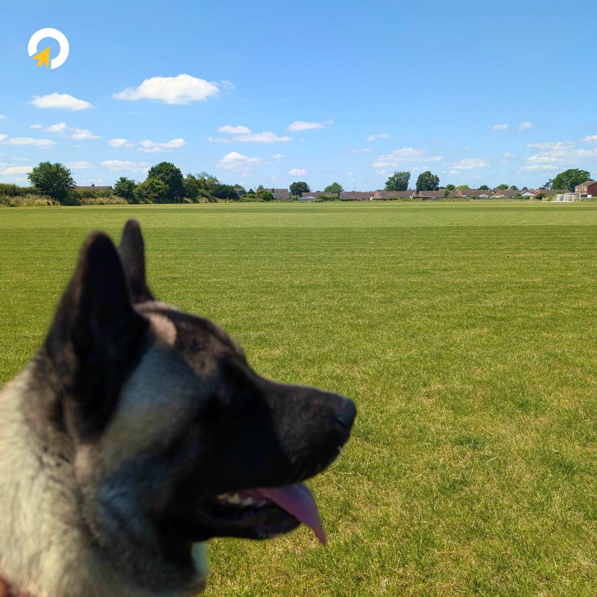 ClickOut Media tweet media