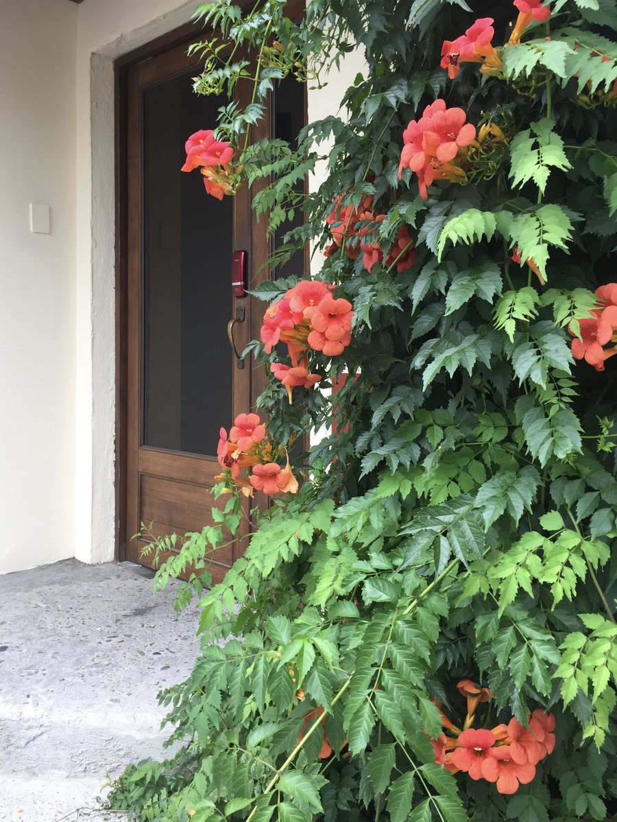 장마와 함께한 1박 2일 대전 여행 타래