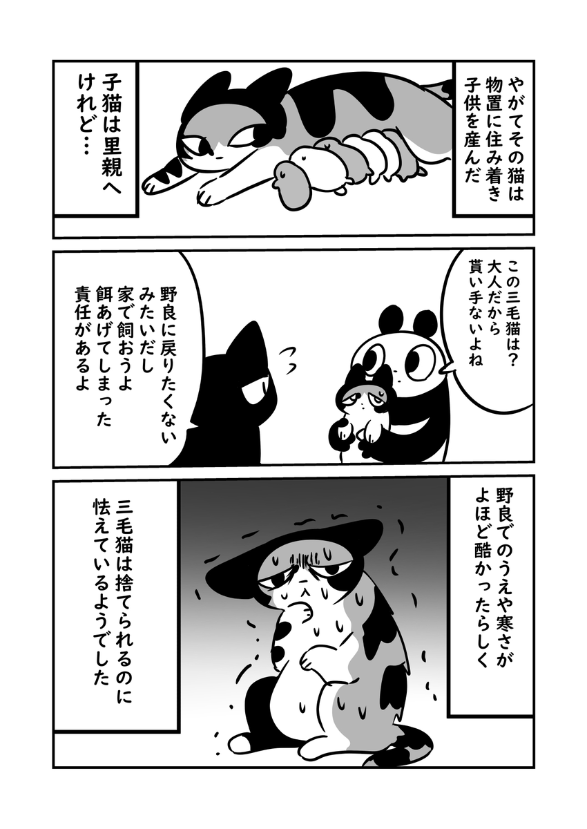 ガリガリの妊娠した猫を迎えた話 2/2