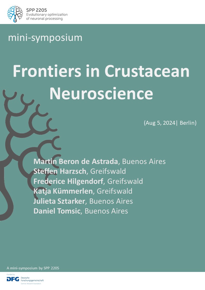 Neural Circuit Evolution (@spp2205) on Twitter photo You are in Berlin for #icn2024berlin anyway and plan to stay longer? <a href="/SHarzsch/">Harzsch_lab_Greifswald</a> from <a href="/SPP2205/">Neural Circuit Evolution</a> is running a mini-symposium on frontiers in crustacean neuroscience on Aug 5. Details: uni-goettingen.de/de/688741.html Join us!
#neuroscience #brain #evolution You are in Berlin for #icn2024berlin anyway and plan to stay longer? <a href="/SHarzsch/">Harzsch_lab_Greifswald</a> from <a href="/SPP2205/">Neural Circuit Evolution</a> is running a mini-symposium on frontiers in crustacean neuroscience on Aug 5. Details: uni-goettingen.de/de/688741.html Join us!
#neuroscience #brain #evolution