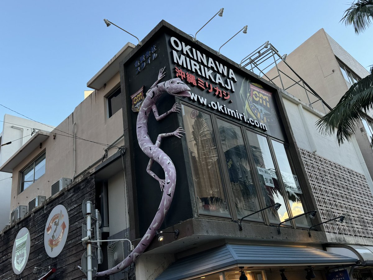 沖縄サバゲショップ来たのに何も買えなかった🤣SPTさんではカッコイイシーサーの部隊章買おうと思ったら自衛隊の人しか買えないやつだった🥲でも、記念にって那覇駐屯地50周年のバッチくれた😆神か！！
ミリカジさんは今日休みやったって言う。(調べとけよ😂