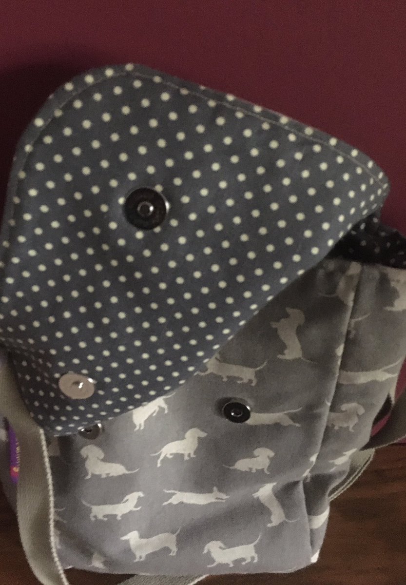 Only one available … #InternationalPlasticBagFreeDay #dashound #sausagedog  #elevenseshour