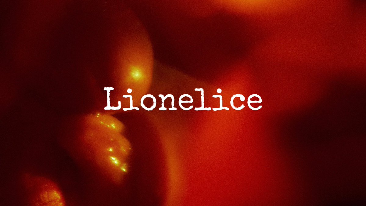 Lionelice's tweet photo. 没有女粉吗
欢迎约拍留言私信
摄影：@Lionelice 
投稿：
@wqganenshi_ 
@Fengsiyuan 
@tbzt2024 
@cuteeeee11 
@007share 
#私房 #杭州约拍 #上海约拍 #人体 https://t.co/daA9DLv1V9