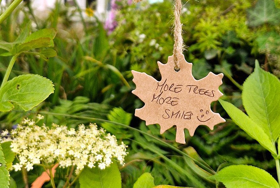 We've joined @WoodlandTrust, <a href="/TreesforCities/">Trees for Cities</a>, <a href="/forestsandwood/">Confor</a> to ask the new Government for a commitment to woods and trees.

We need clear and strategic leadership from the Government to maximise the potential of trees.

Full statement on our website: buff.ly/4cIbQrl