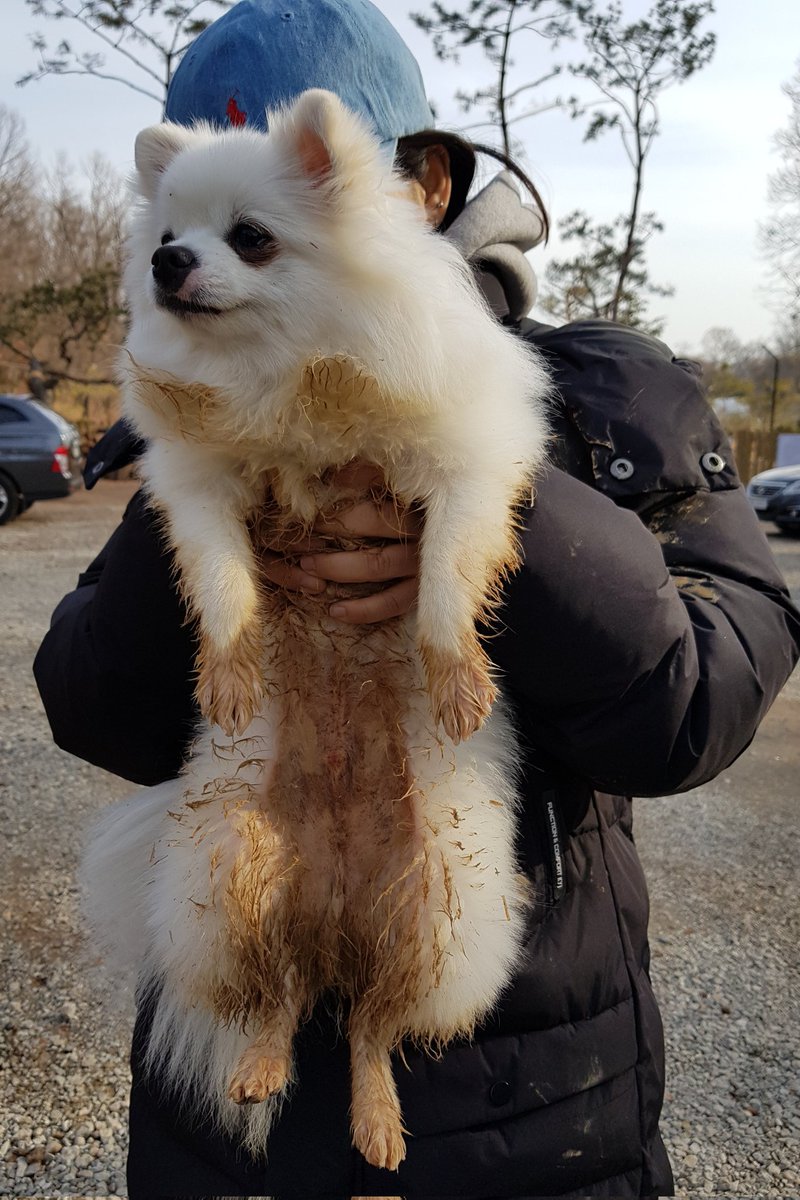 sadsung's tweet photo. 발 말고 다른 곳도 씻어야 합니다...ㅎ.... https://t.co/DG8xohXTJX