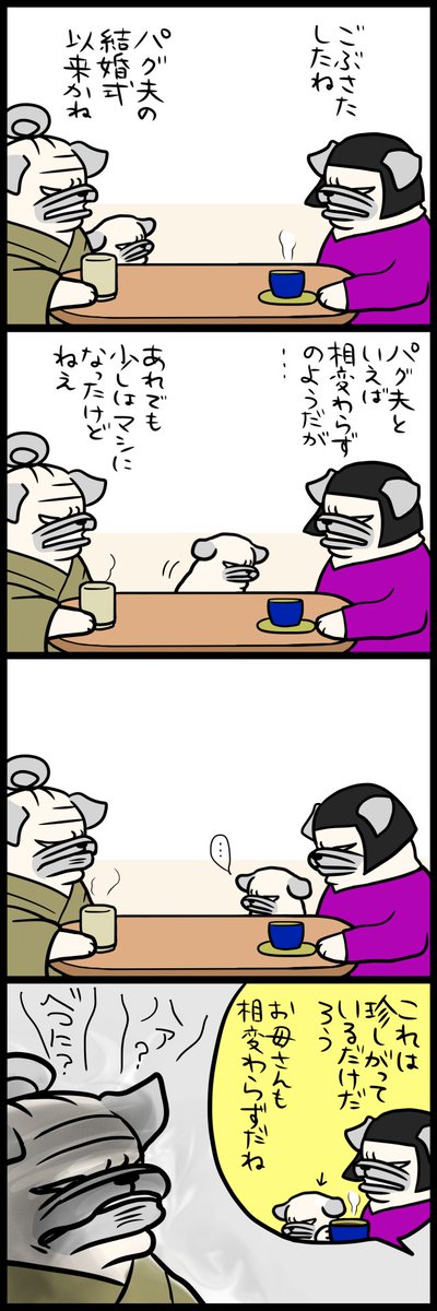 「パグ嫁と姑」おとなげなどない 