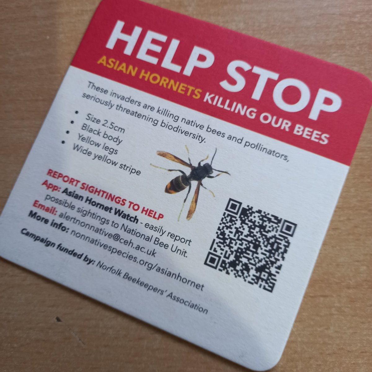 Moon Gazer Ale tweet media