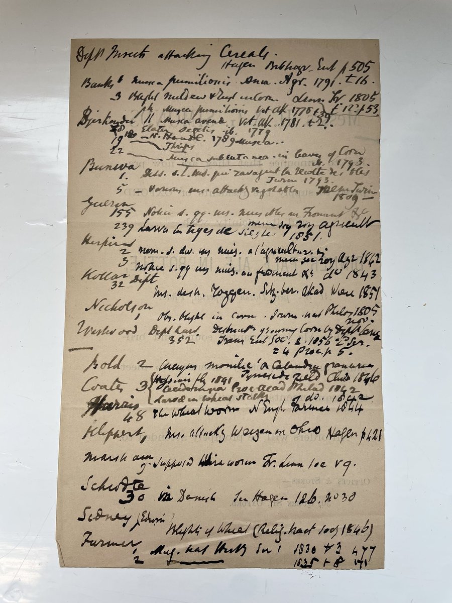 Danielle Czerkaszyn tweet media