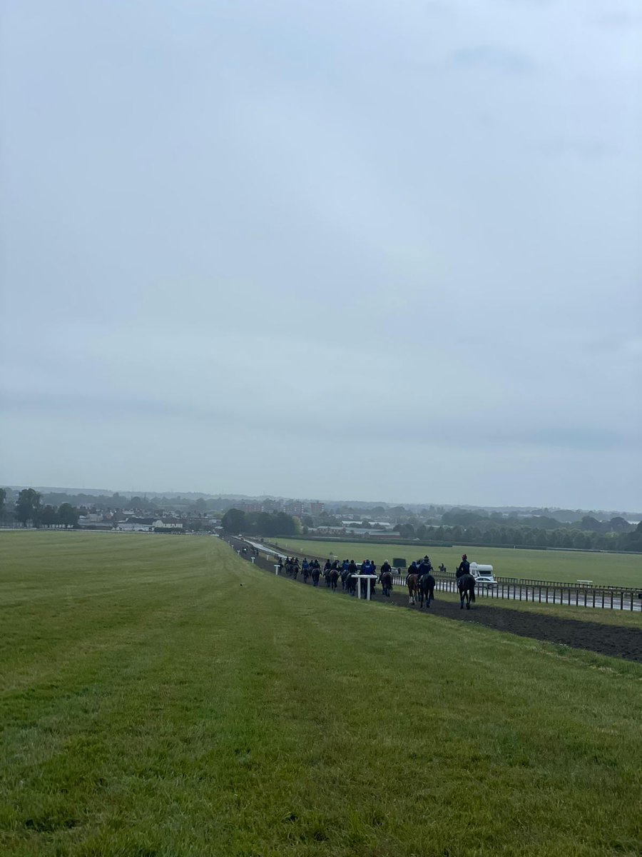 careersinracing's tweet image. After an early start for the Development Programme at Warren Hill Gallops... a trip to Sir Mark Prescott's yard was on the cards!🐎

#BritishHorseracing #WarrenHill #Gallops #CareersinRacing #DevelopmentProgramme2024
