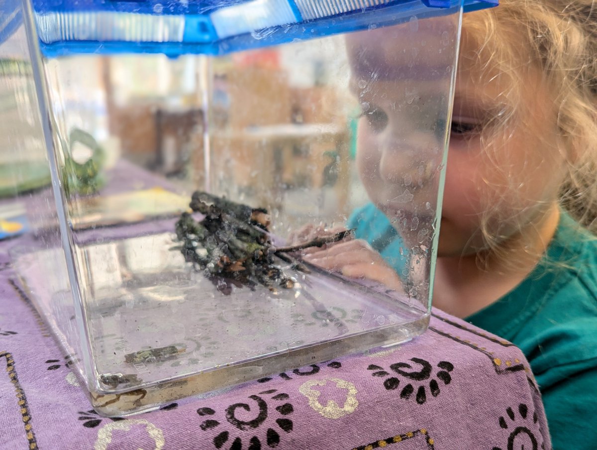 Burrough Green CofE Primary Academy tweet media