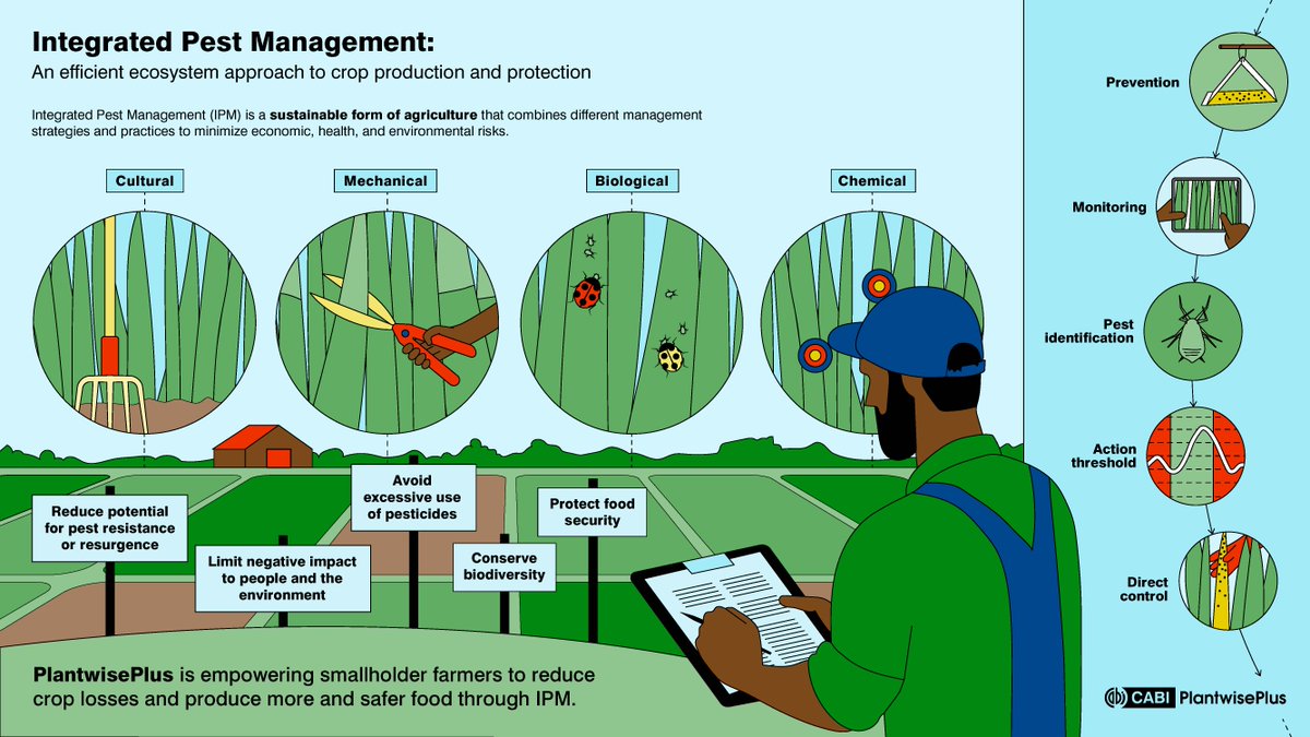 CABI_Plantwise's tweet photo. 🌿📱 The Farmer Advisory pathway boosts IPM knowledge with digital tools! 

PlantwisePlus equips providers with resources, enhances plant health management, and supports rural communities in creating new income opportunities

Learn more: https://t.co/K80grIb4mA https://t.co/JLcCVIwxui