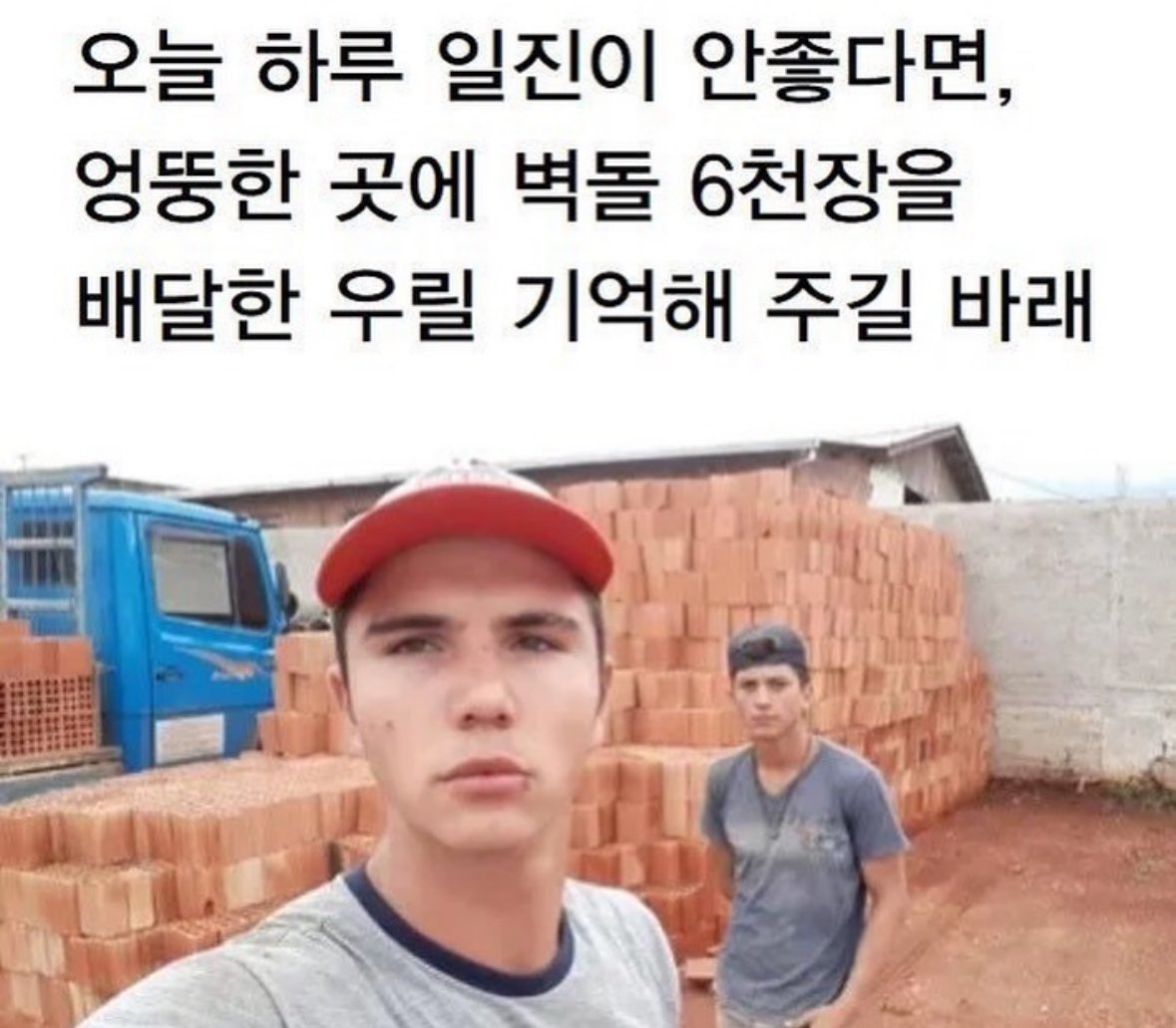 밈카이브 tweet media