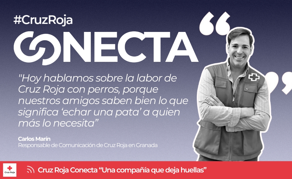 CruzRojaEsp's tweet photo. Gracias por seguir la nueva edición de #CruzRojaCONECTA: Solidaridad canina: una compañía que deja huellas. Puedes volver a ver todo el streaming a través de este enlace: 
https://t.co/iDPclg1hqK https://t.co/3V3SrNyasI