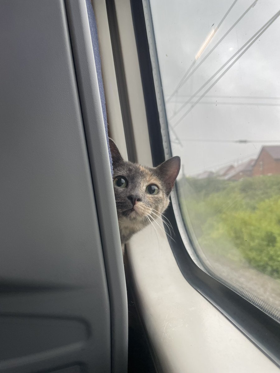 can you stop kicking my seat please