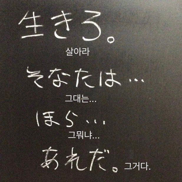 김밥 티알계 tweet media