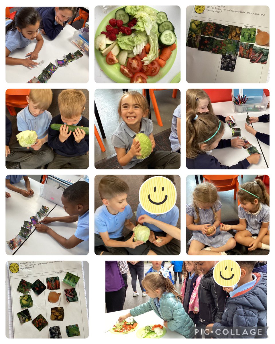 In Science this week, we have been busy comparing and sorting common fruit and vegetables, as well as understanding how they are grown! 🍓🍅🥒🥕🥗🧄🥬 <a href="/MissHewit/">Miss Hewitt_INSPIRE</a> <a href="/_InspireScience/">Inspire Science</a>